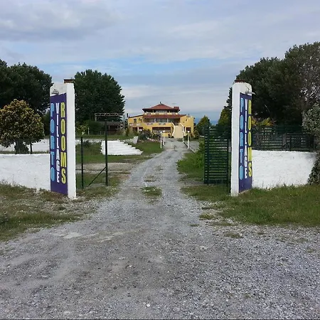 Отель Porto Village *